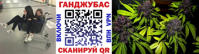 Конопля гибрид  магазин  наркотиков  Покров 